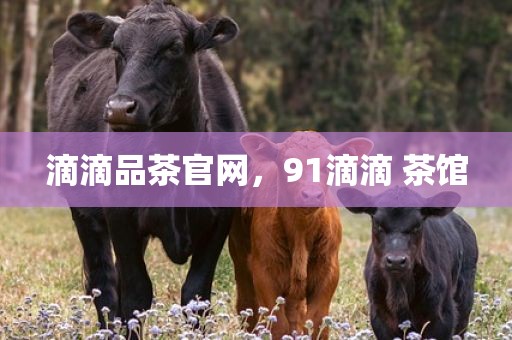 滴滴品茶官网，91滴滴 茶馆