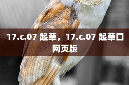 17.c.07 起草，17.c.07 起草口网页版