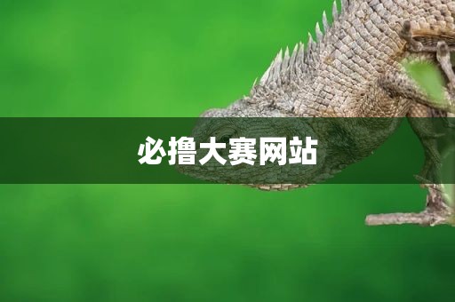 必撸大赛网站
