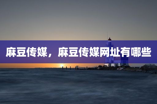 麻豆传媒，麻豆传媒网址有哪些