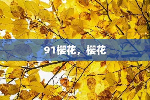 91樱花，樱花
