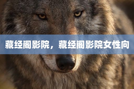 藏经阁影院，藏经阁影院女性向