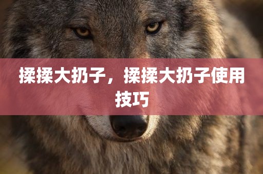 揉揉大扔子，揉揉大扔子使用技巧