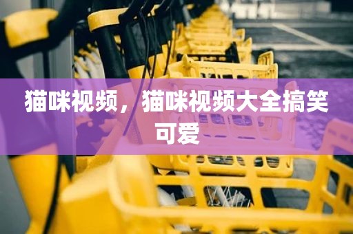 猫咪视频，猫咪视频大全搞笑可爱