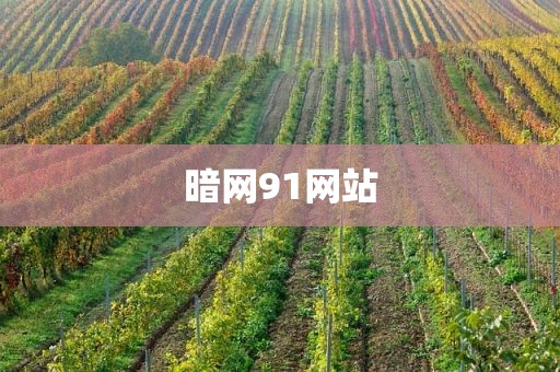 暗网91网站