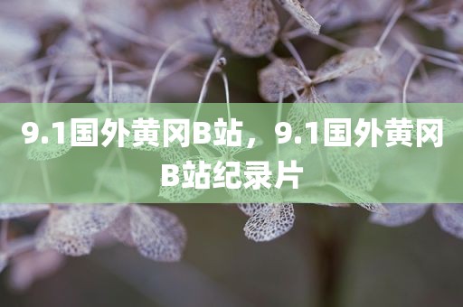 9.1国外黄冈B站，9.1国外黄冈B站纪录片
