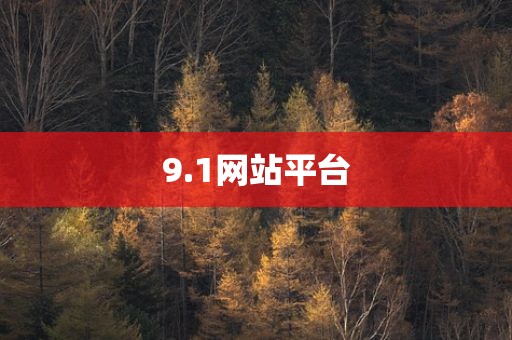 9.1网站平台