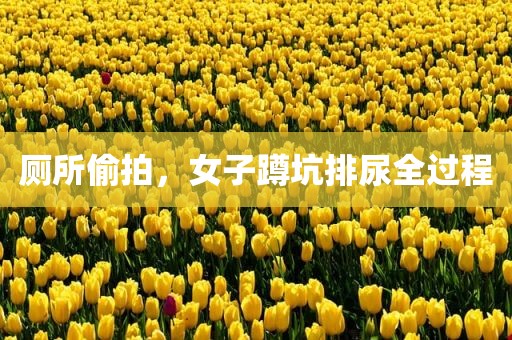 厕所偷拍，女子蹲坑排尿全过程