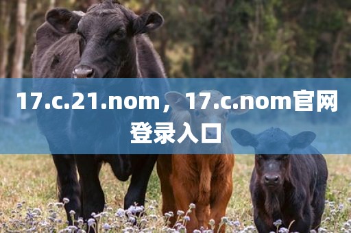 17.c.21.nom，17.c.nom官网登录入口