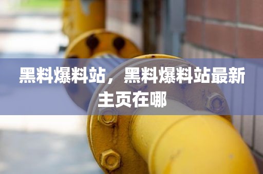 黑料爆料站，黑料爆料站最新主页在哪
