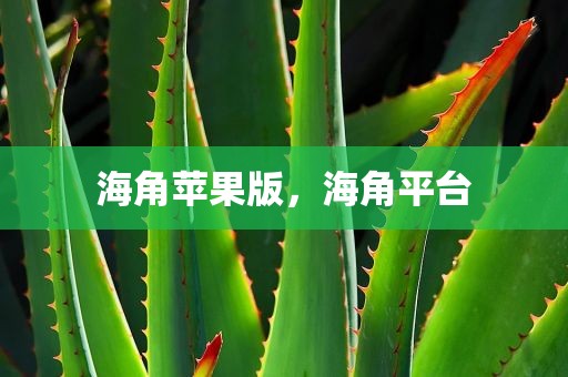 海角苹果版，海角平台