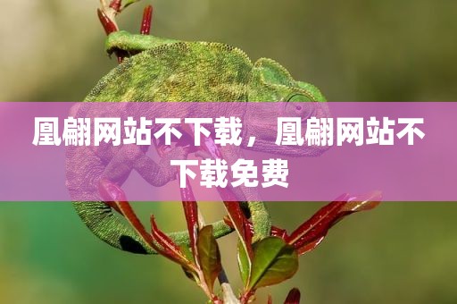 凰翩网站不下载，凰翩网站不下载免费