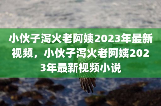 小伙子泻火老阿姨2023年最新视频，小伙子泻火老阿姨2023年最新视频小说