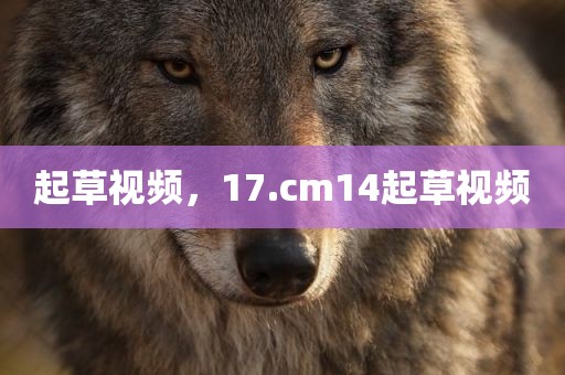 起草视频，17.cm14起草视频