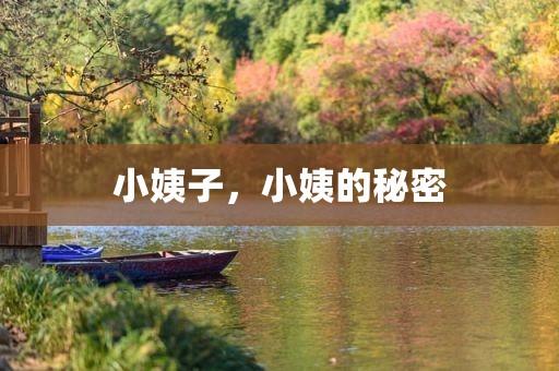 小姨子，小姨的秘密