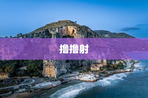 撸撸射