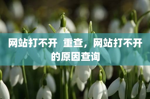 网站打不开  重查，网站打不开的原因查询