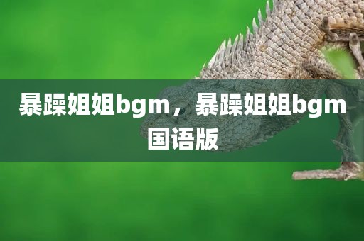 暴躁姐姐bgm，暴躁姐姐bgm国语版