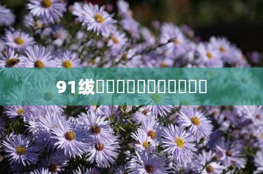91绂侌煃嗮煃戰煍炩潓鉂屸潓
