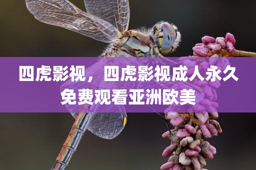 四虎影视，四虎影视成人永久免费观看亚洲欧美