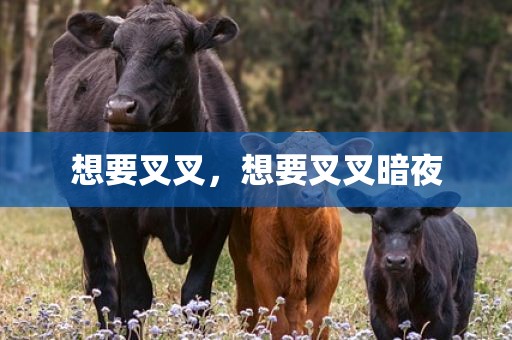 想要叉叉，想要叉叉暗夜