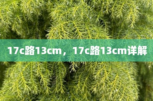 17c路13cm，17c路13cm详解