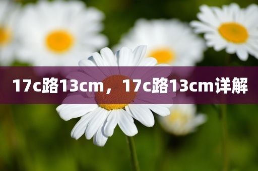 17c路13cm，17c路13cm详解