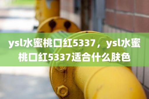 ysl水蜜桃口红5337，ysl水蜜桃口红5337适合什么肤色