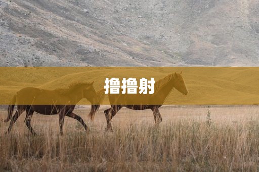 撸撸射
