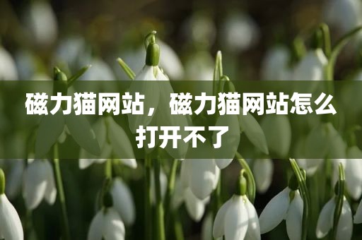 磁力猫网站，磁力猫网站怎么打开不了