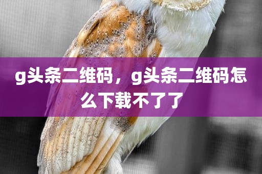 g头条二维码，g头条二维码怎么下载不了了