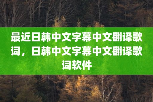 最近日韩中文字幕中文翻译歌词，日韩中文字幕中文翻译歌词软件