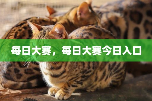 每日大赛，每日大赛今日入口