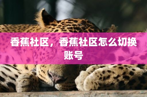 香蕉社区，香蕉社区怎么切换账号