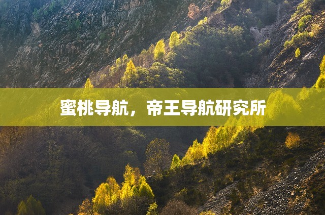 蜜桃导航，帝王导航研究所