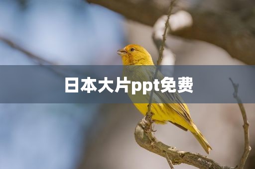 日本大片ppt免费