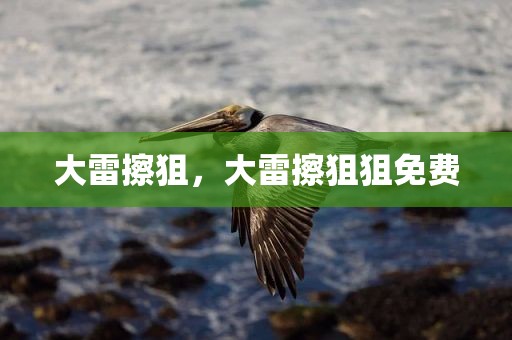 大雷擦狙，大雷擦狙狙免费