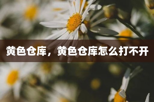 黄色仓库，黄色仓库怎么打不开