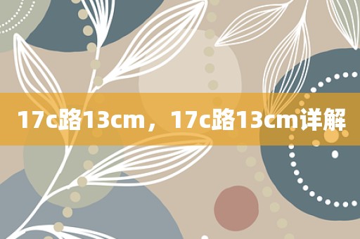 17c路13cm，17c路13cm详解