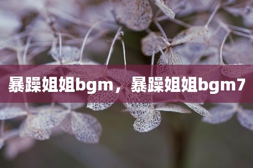 暴躁姐姐bgm，暴躁姐姐bgm7