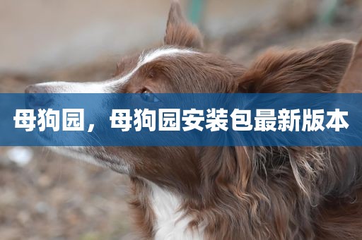 母狗园，母狗园安装包最新版本