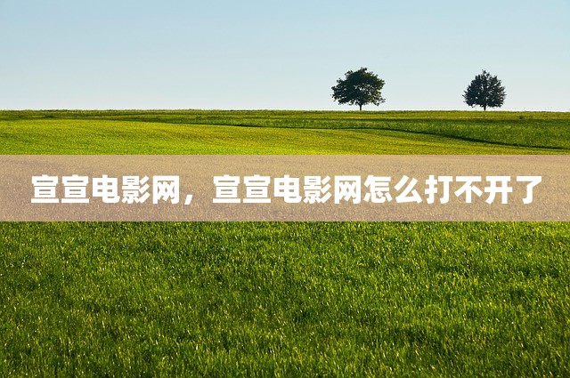 宣宣电影网，宣宣电影网怎么打不开了
