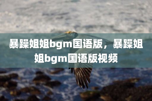 暴躁姐姐bgm国语版，暴躁姐姐bgm国语版视频