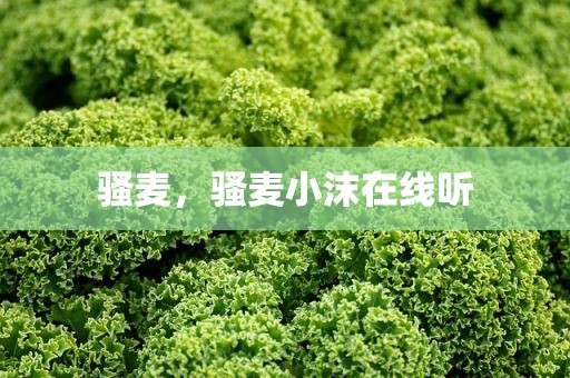 骚麦，骚麦小沫在线听
