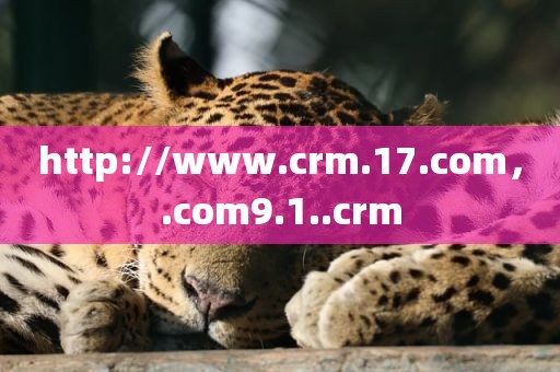 http://www.crm.17.com，.com9.1..crm