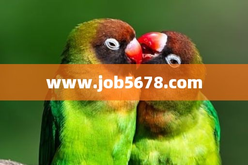 www.job5678.com