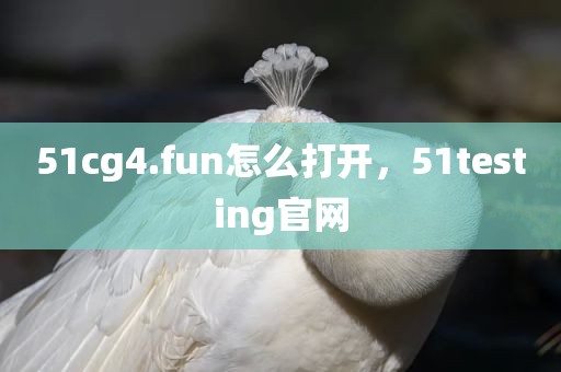 51cg4.fun怎么打开，51testing官网