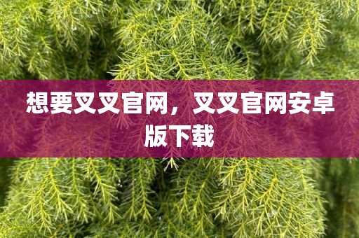 想要叉叉官网，叉叉官网安卓版下载