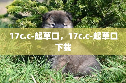 17c.c-起草口，17c.c-起草口下载