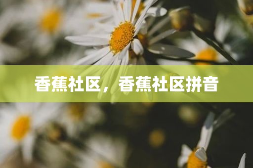 香蕉社区，香蕉社区拼音